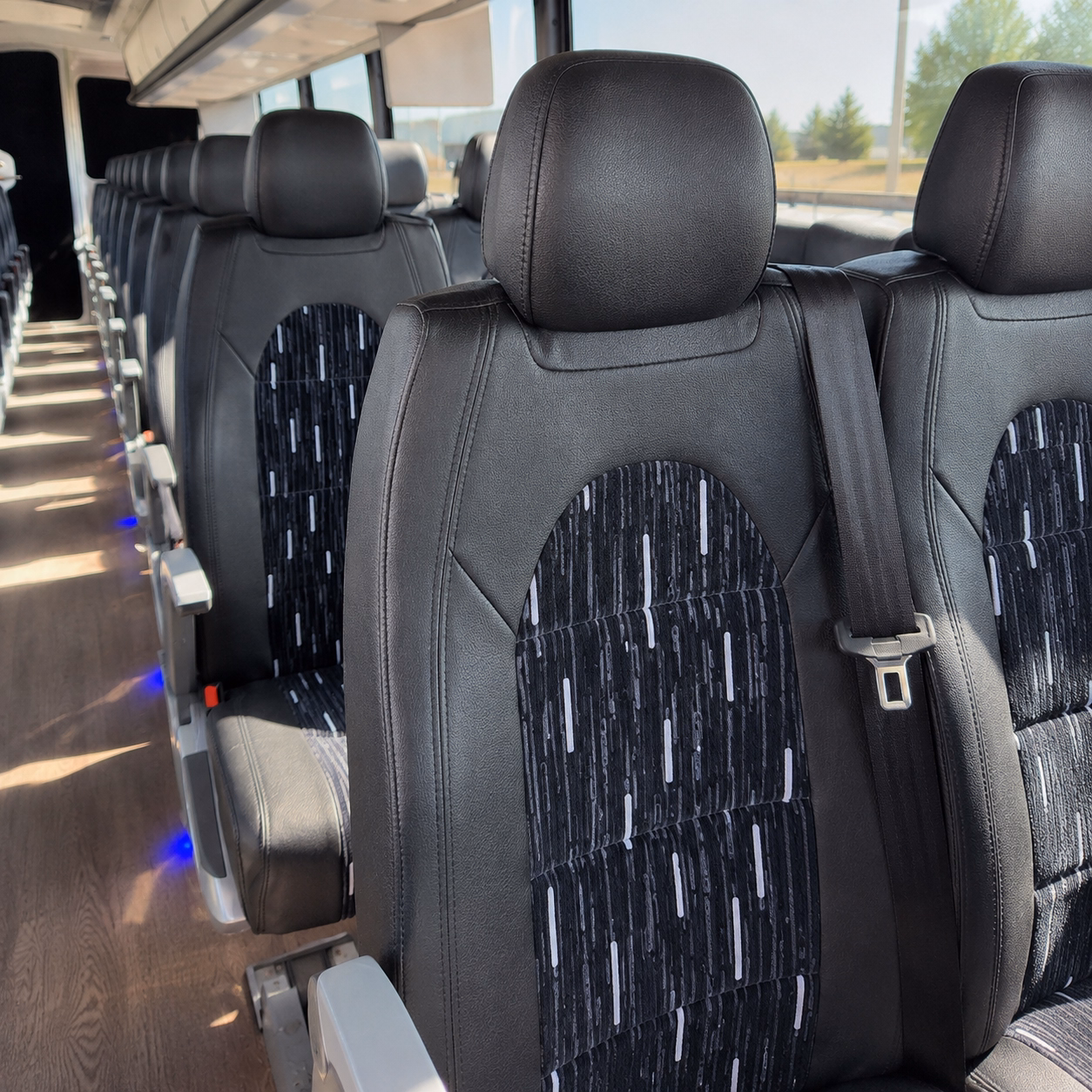 bachelorette party wine tour buses in waco and the surrounding hill country